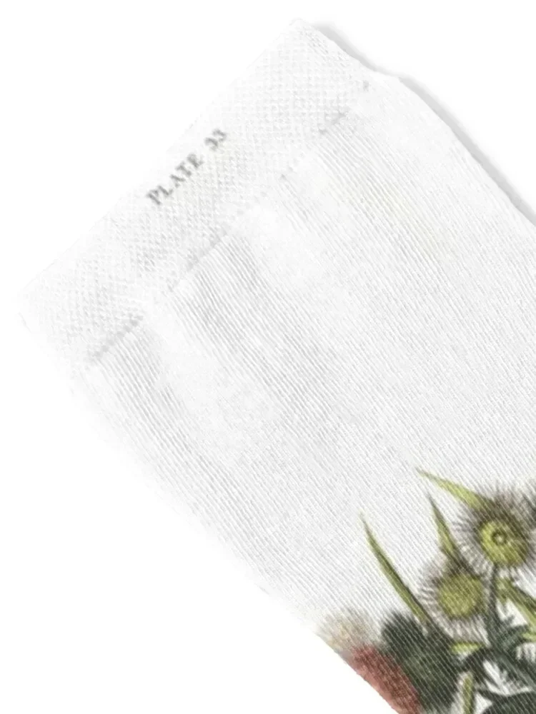 Рисунок 2 - Носки Goldfinch and Thistle