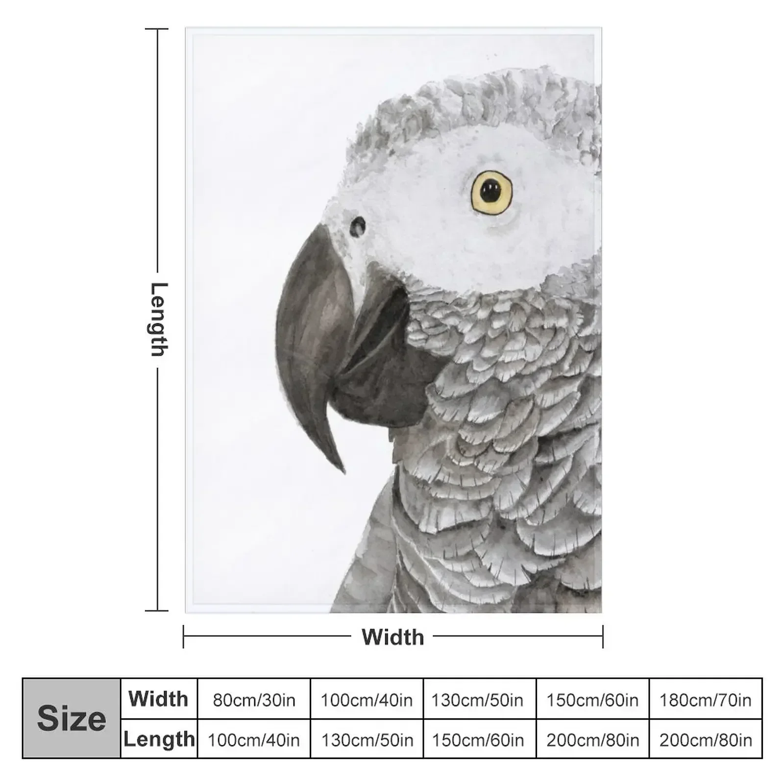 Grey parrot congo african timneh old word bird watercolor Throw Blanket bed plaid Softest Bed Blankets