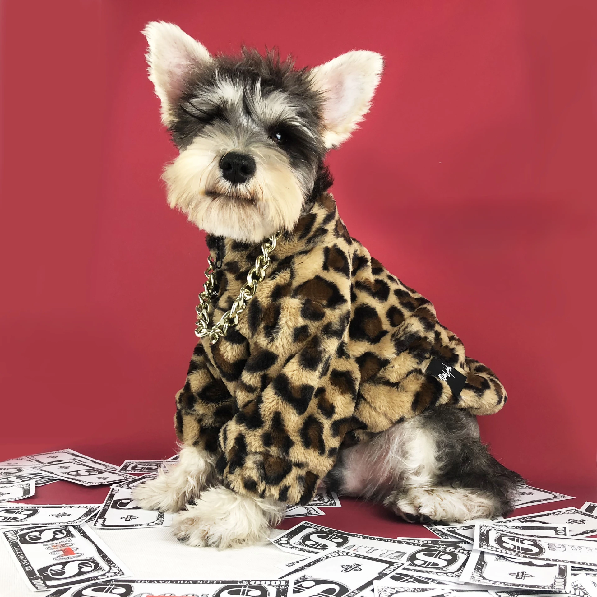 

Autumn and winter dog clothes pet leopard print jacket