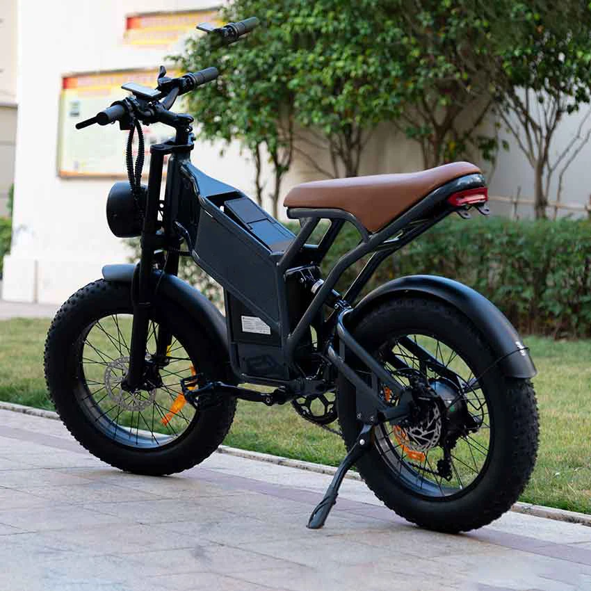 

Fat Tire Electric Bike E Bike Price Fatbike 750W Motor 48V 20Ah Battery 6 Speed 20 Inch Electric Bicycle