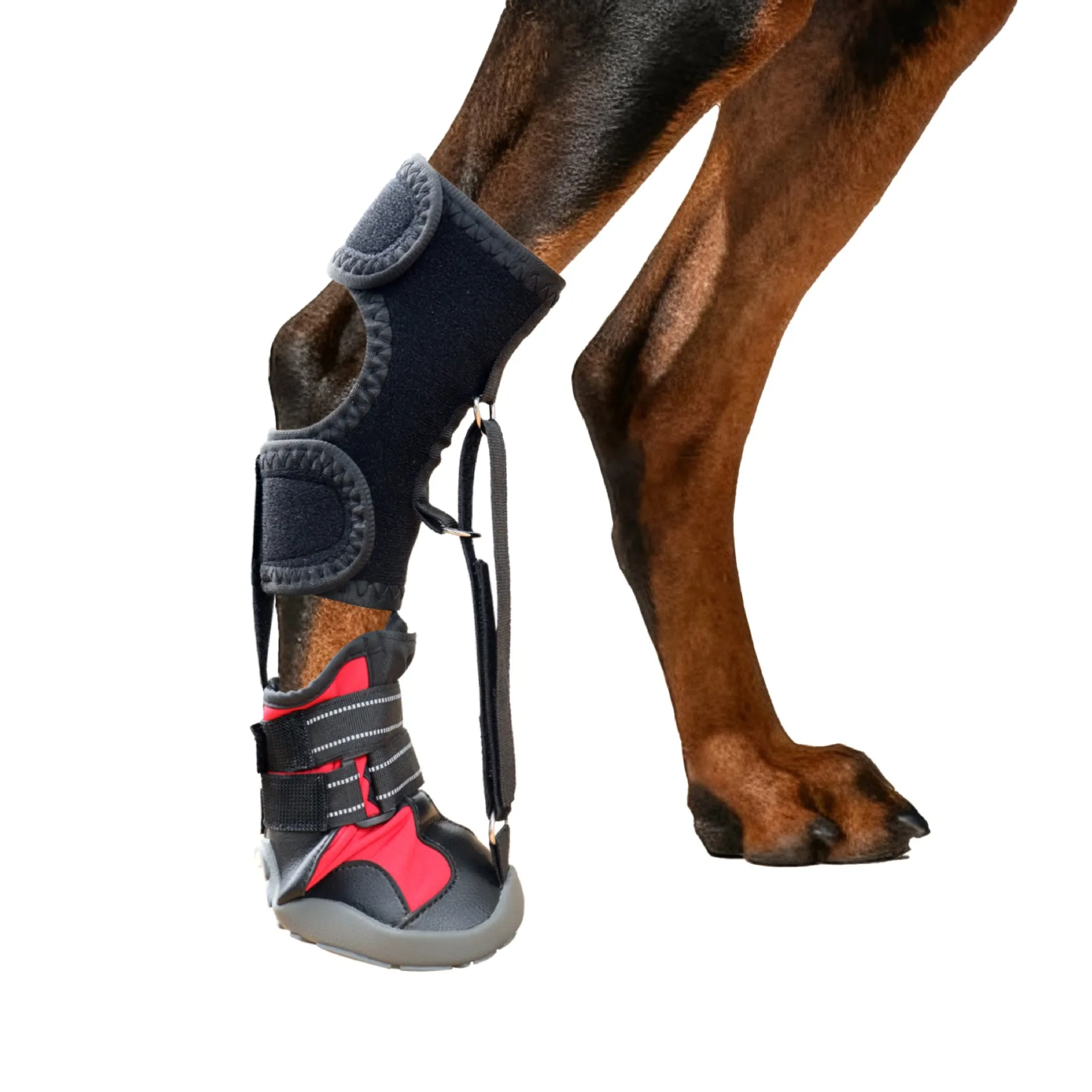 Spring and Autumn pet dog shoes are anti fouling and wear-resistant hard soled dog shoes with gold fur foot protectors that are