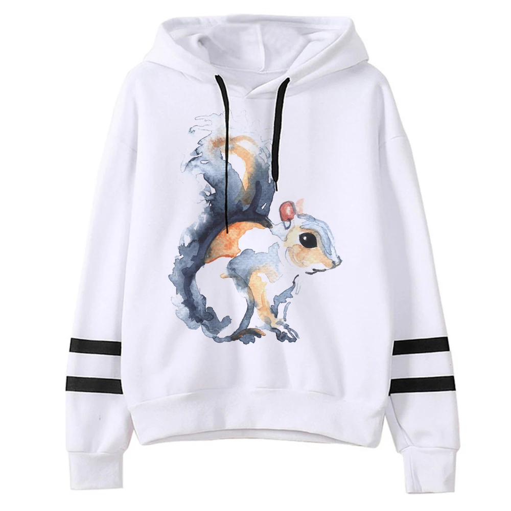 

Squirrel hoodies women funny sweat y2k japanese pulls female aesthetic clothes