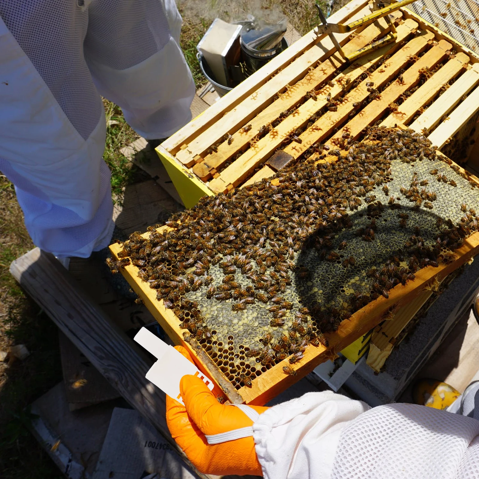 10pcs Cage Beekeeping Tools Plastic Cages for Transport Isolation Rearing Breeding Lightweight Practical Storage