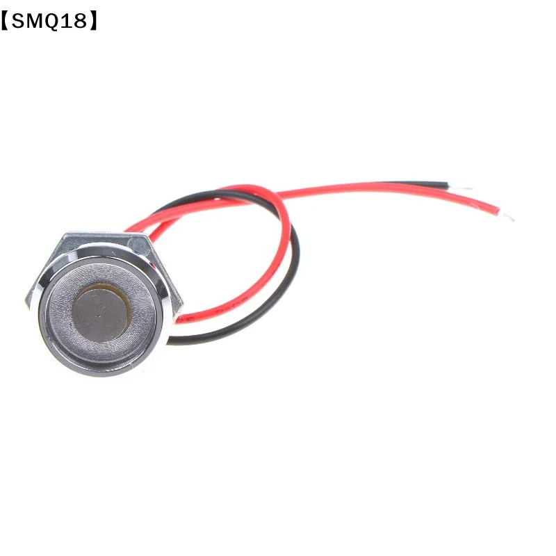 1Pc 2 Pin TM Card Reader Probe TM Probe DS9093 Zinc Alloy Probe IButton Probe/Reader Card Reader IB Card Probe【SMQ】