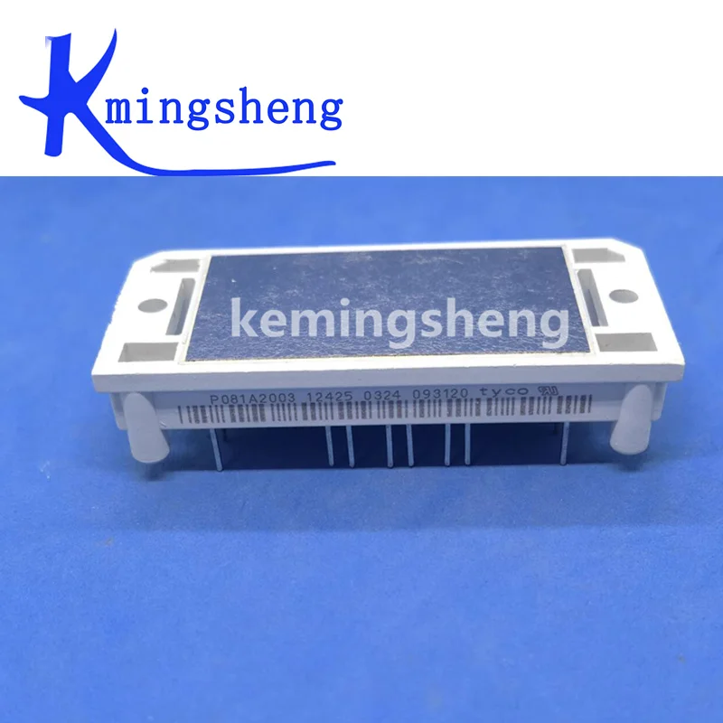 

P081A2003 P081A2004 FREE SHIPPING NEW AND ORIGINAL MODULE