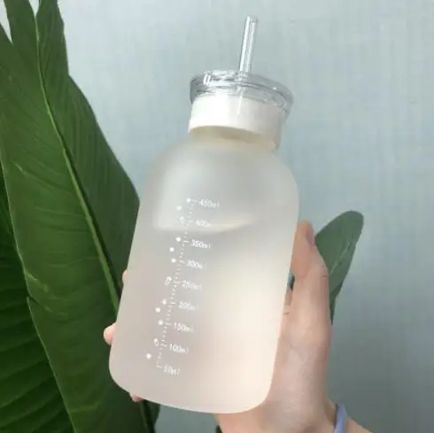 Double lid daisy transparent frosted high borosilicate glass portable ins straw drinking cup