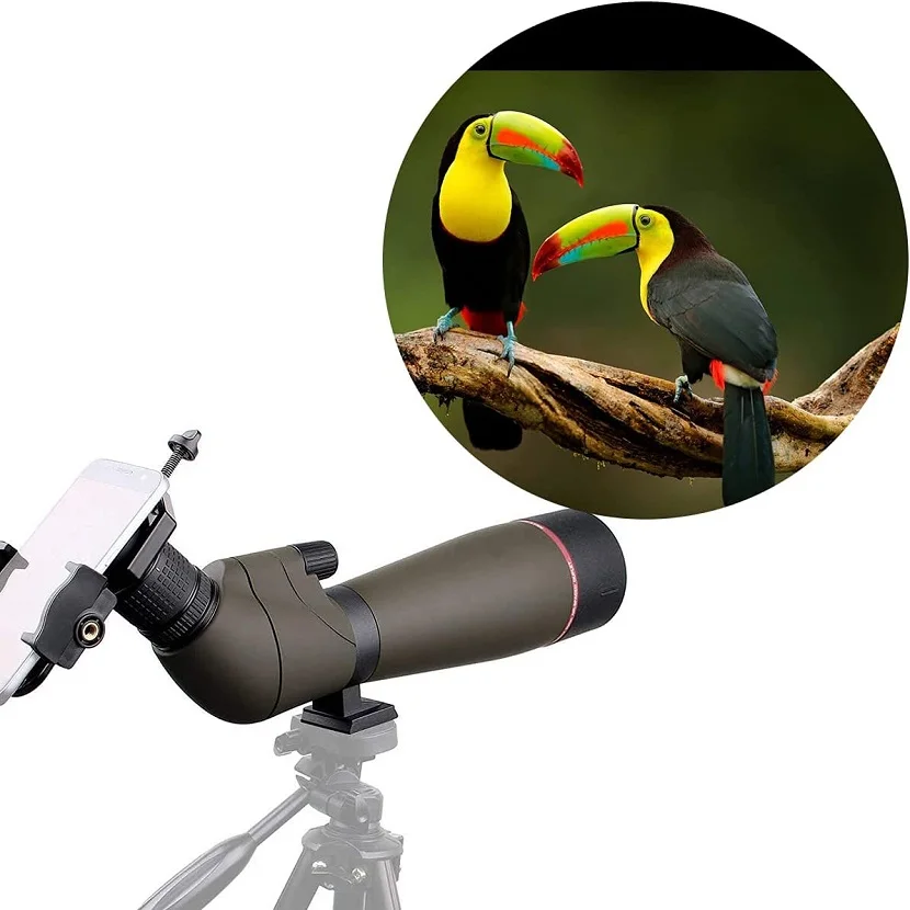 Imagem -06 - Binóculos Svbony Sv13 2060x80 com Zoom Prateado Mais Prisma mc Tratamento Multicamadas Ipx7 à Prova Dágua para Caça e Observação de Pássaros
