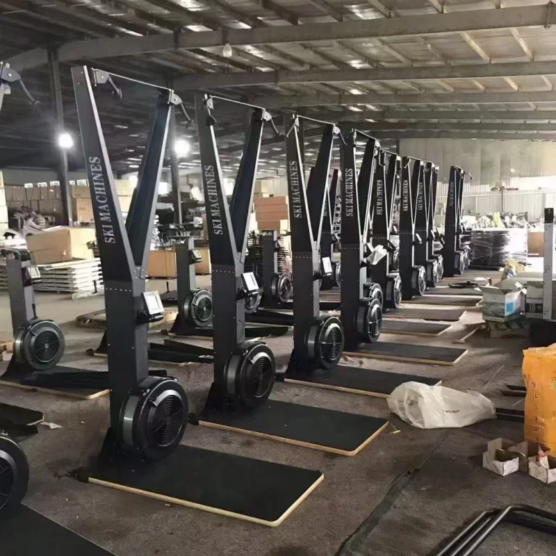 Metal Ski Rowing Trainer Dual Function Commercial Gym Bodybuilding Equipment