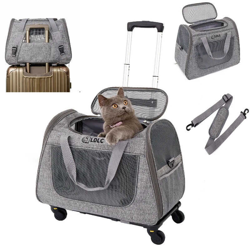 Amazon One-shoulder Straddle Cat Out Roller Bag XL Extra Large Pet Roller Bag Detachable Cat and Dog Roller Case