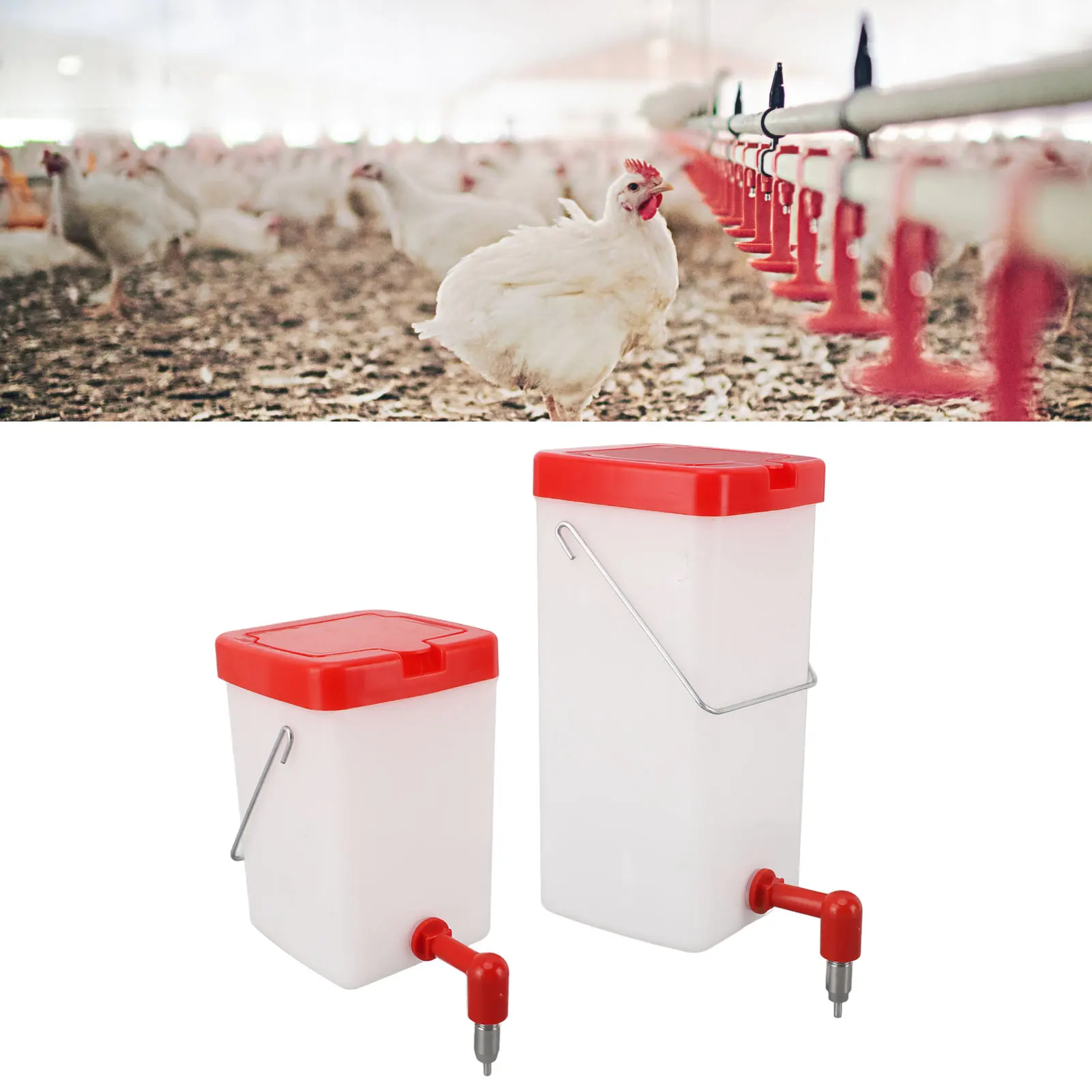 Bebedero de pezón de pollo colgante a prueba de fugas, bebedero de pezón de aves de corral de gran capacidad para granja, dispensador de bebidas de pollo con pezones