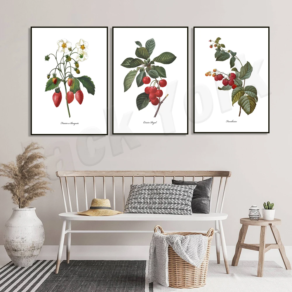 Red Fruit Print, 1850s Watercolor Flower Painting - French Botanical Print, Berry Art Botanical Poster Wall Decor Canvas Paintin