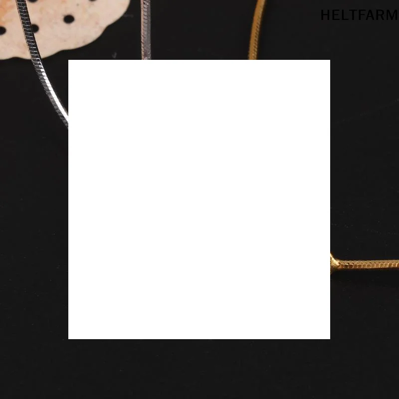 من المألوف والحد الأدنى فقاعة الأفعى العظام سلسلة دائرية الزركون قلادة سوار للنساء مجوهرات الحفلات هدية