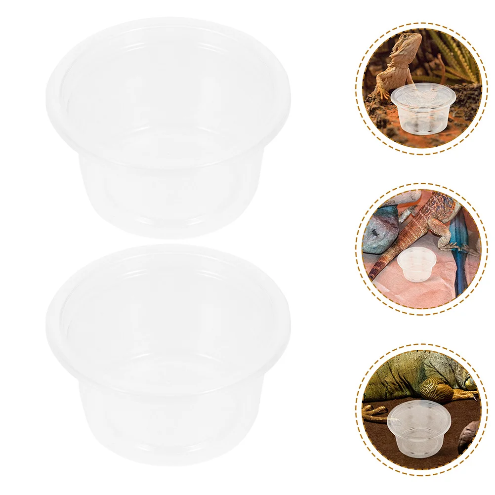 

30pcs Reptile Food Water Bowls Set For Leopard Geckos Snakes Lizards Plastic Feeder Cups Hydration Dishes Pet Habitat