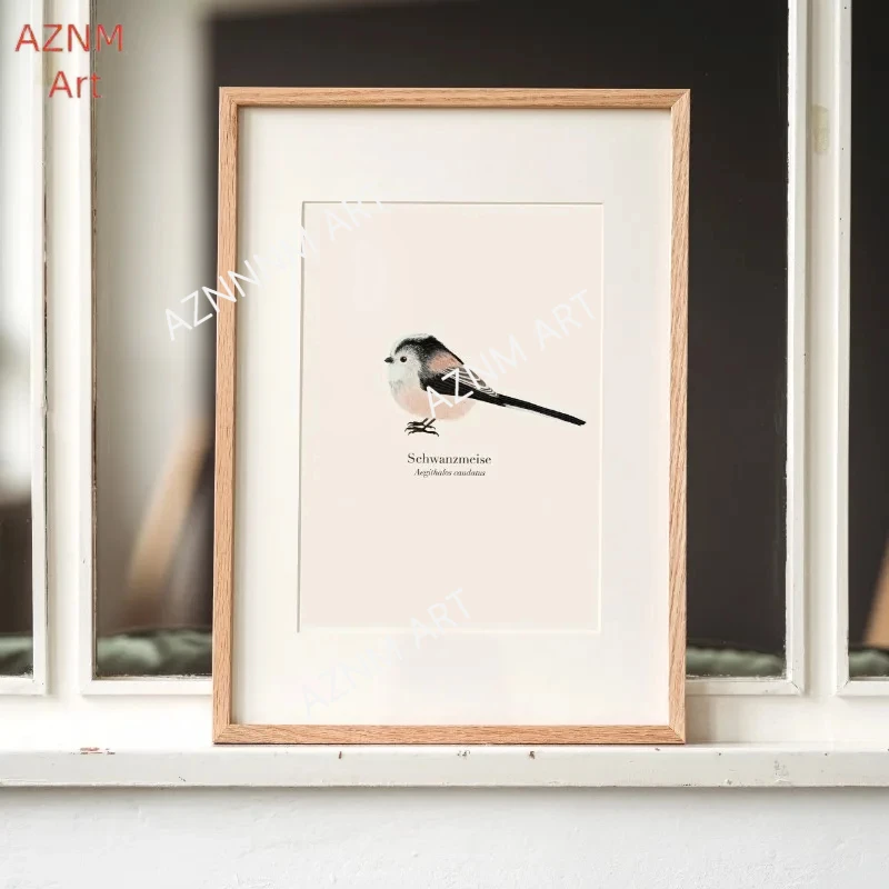 Native Birds Species Collect Illustration Poster Nature Bird Animal Canvas Painting Wall Art Pictures for Living Room Home Decor