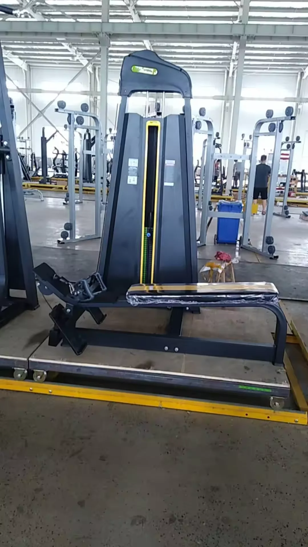 Professional High Quality Gym Trainer Functional Seated Back Long Pull Training Machine Gym Strength Fitness Equipment