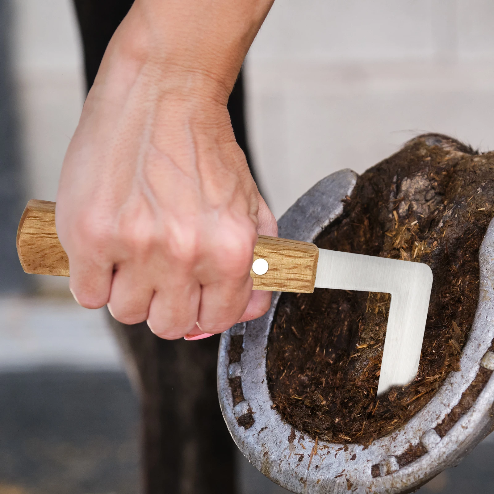 1Pcs Rinder Pferde Huf Cutter Ziege Schafe Schwein Vieh Huf Messer Rechts/Links Hand Tier Fuß Beschneiden Werkzeuge veterinär Liefert