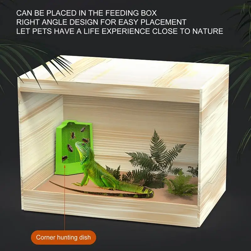 Gecko Food Bowl Reptile Feeding Bowls Reptile Dish Suction Cup Gecko Food Dish Reptile Bowl Terrarium Feeding Dish Anti-Escape