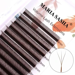 MARIA Brown W Shape 3D Type Individual Eyelash Extension ciglia colorate Naturally Soft Real Black Mink Premade Volume Fans