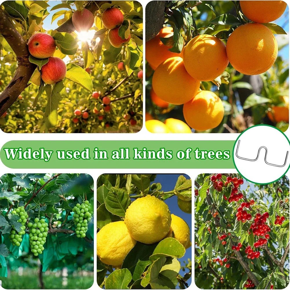 Branch Support For Fruit Trees Plant Cage Garden Branch Holder Silver Tree Branch Support Galvanized Iron Wire