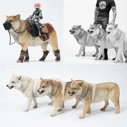 JXK166 1/6 Scale Soldier Scene Accessory Chinese Tibetan Wolf Simulation Model Fierce Mount Animal Fit 12