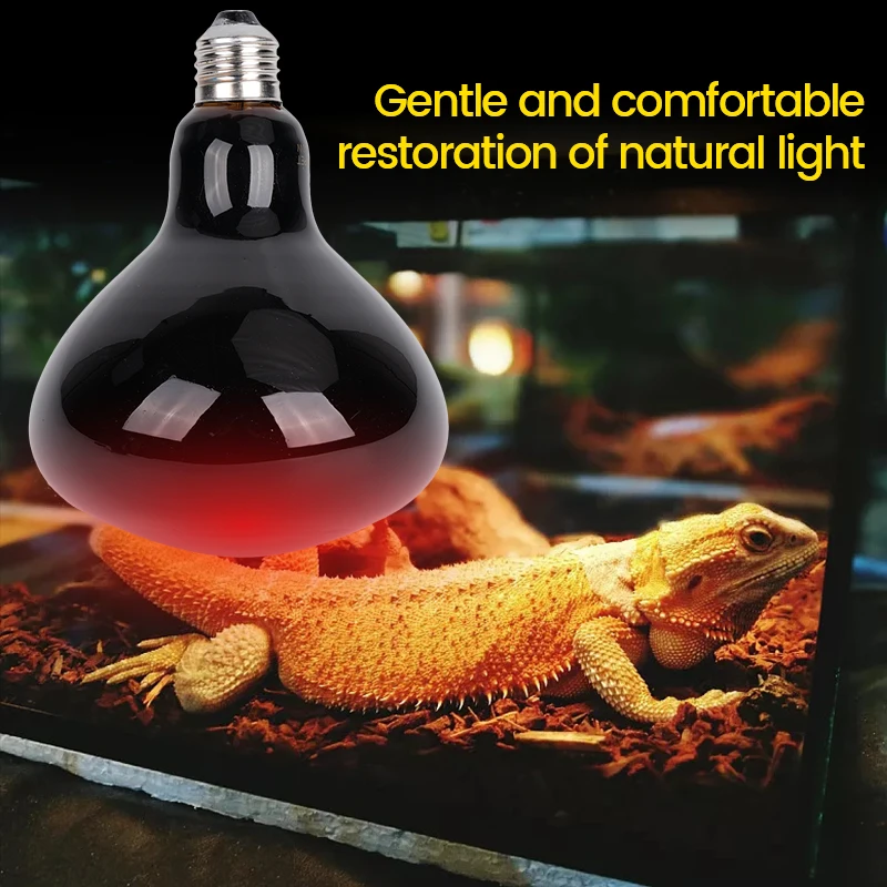 220V Reptile Lamp Bulb Land Turtle Box Feeding Heating Lamp Insulation Pet Supplies Lizard Snake Insulation High end Night Light