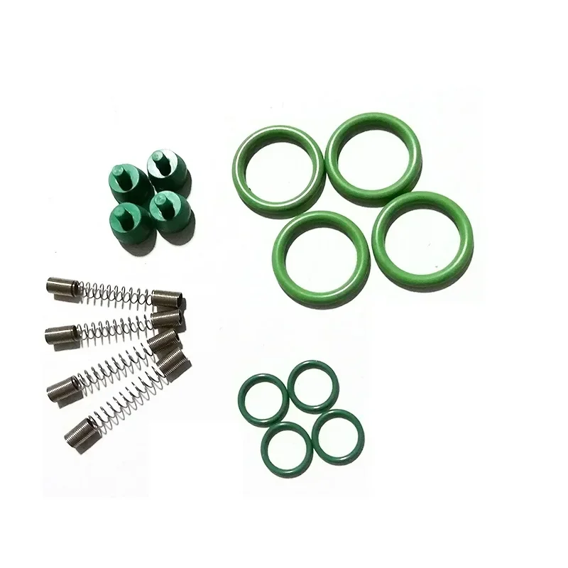 Kits de GLP/GNC para OMVL NT401, Kit de Reparación de Riel de Inyección, Accesorios