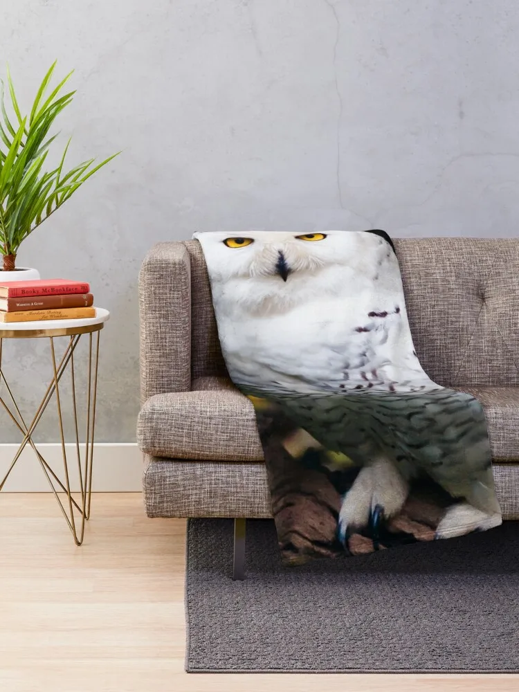 Majestic winter snowy owl Throw Blanket Bed covers Flannel Blanket manga