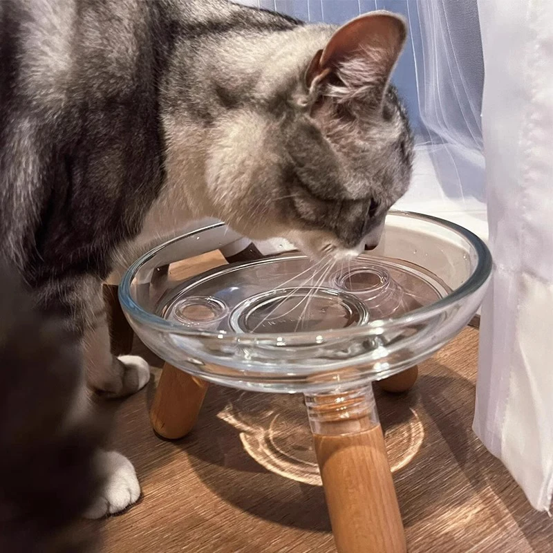 

Transparent Design Cat Bowl Elevated Food Water Plate Snack Dish With Stand For Neck Protection
