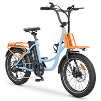 Hidoes HD-C6 Electric Bike 250W Motor 36V13AH Lithium Battery Electric Bicycle Adult Riding City Travel 20*3.0-inch Tire E-bike