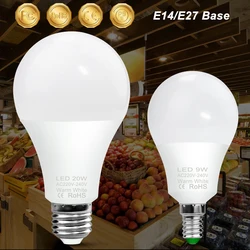 Bombilla LED E27 lámpara E14 luz LED Chanderıer 220V Lampara 3W 6W 9W 12W 15W 18W 20W para sala de estar ahorro de energía 240V Bombilla