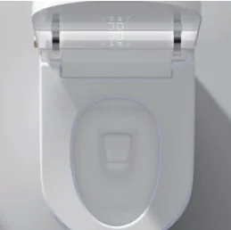 Water Closet Electric Intelligent Toilet Bowl Floor Mounted Bathroom Toilet Floor Mounted Smart Toilet Bidet for Hote