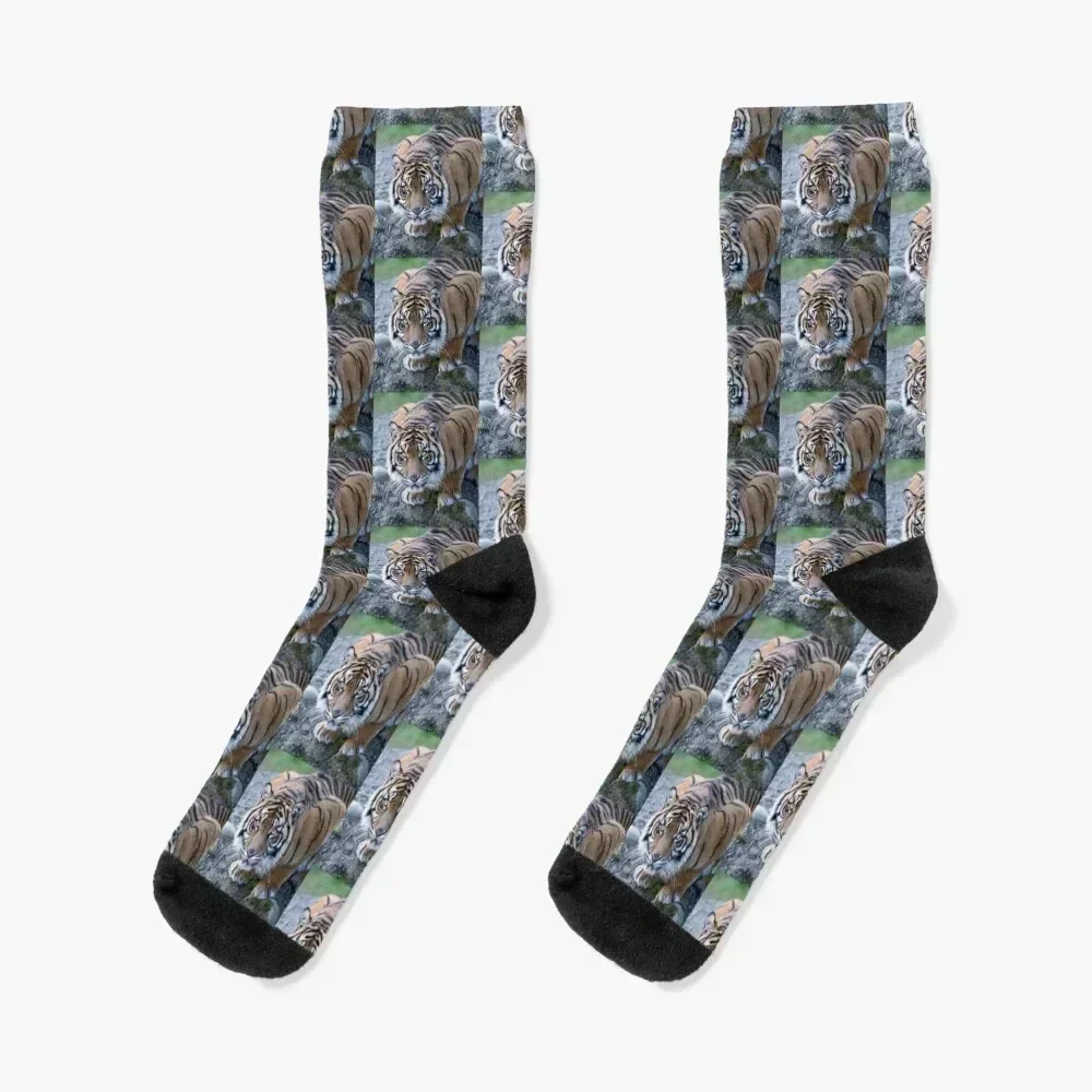 Kali the Divine Socks cute golf bright garter Socks Women's Men's