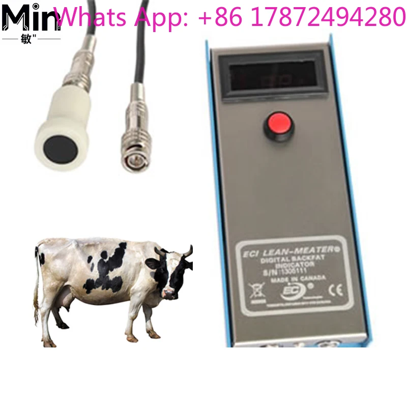 Veterinary Backfat Thickness Meter for Pig / Animal Backfat Measurement