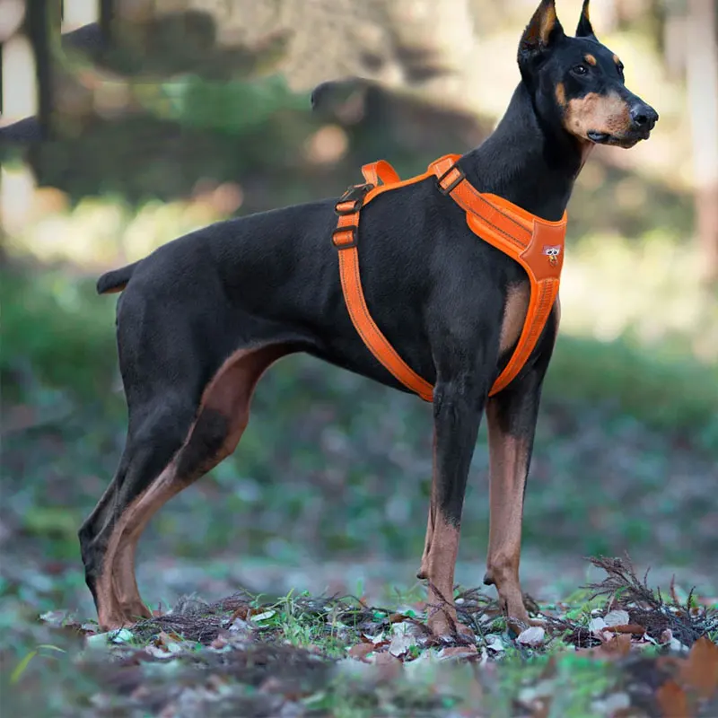Reflective Dog Harness For Medium And Large Dogs Waterproof Vest_voghion.com