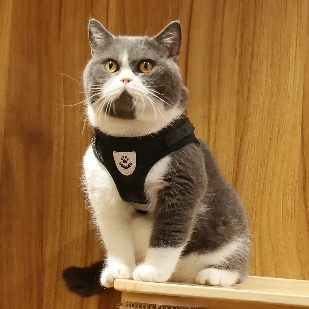 Ausbruchsicheres Katzengeschirr, Verstellbare Reflektierende Weste, Atmungsaktives Netz-Haustier-Führgeschirr-Set für Kleine Welpen und Kätzchen zum Gehen und Training – Detail 22