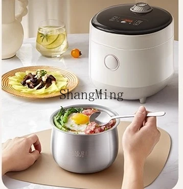 ZYY mini cuociriso piccolo da 1 a 2 persone piccolo cuociriso in acciaio inossidabile 316L