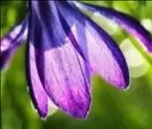 

7,4 В литий-ионный аккумулятор 10,5 мАч аварийный DIY 18650 литиевый аккумулятор 2S3P для рыбалки светодиодный светильник Bluetooth динамик