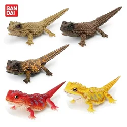 Genuine Twisted Egg Biology Guide Armadillo Lizard Matsushi Lizard Simulated Animal Mobile Figure Twisted Egg TOYS