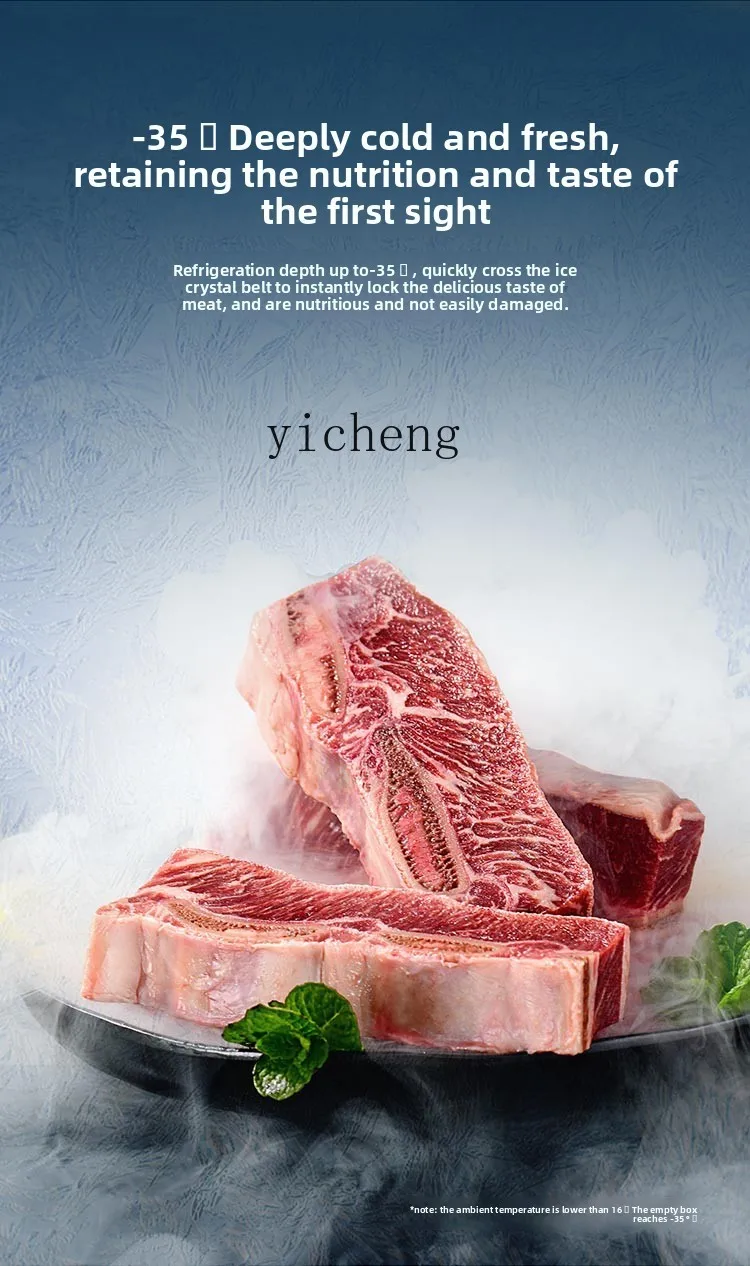 ZZホワイト家庭用冷凍庫 横型フル冷凍庫 冷凍グレード1 100L/200L/300L 霜取り不要 冷凍庫 業務用