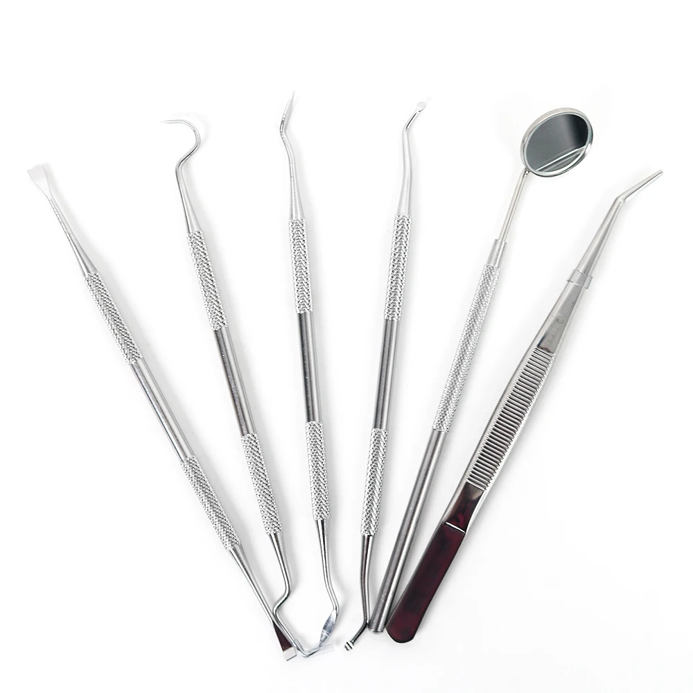 30/60pcs Stainless Steel Dental Examination Basic Kit Diagnostic Teeth Cleaning Tools High Temperature Sterilization