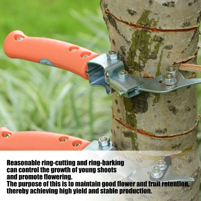  High Precisely Girdling Cutter Tool With Safety Handle Provide Optimal Control During Fruit Management Tasks Tool