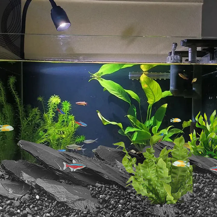 800/1600g Flache Schiefersteine, Dunkelgrauer Aquarium-Landschaftsstein für Fischbecken, Terrarium & Reptilien-Habitat-Dekoration XJM – Detail 5