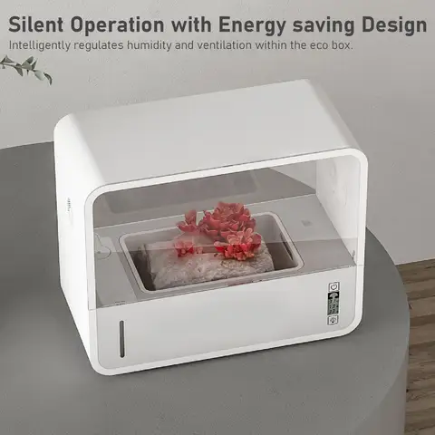 버섯 성장 텐트 스마트 무토양 투명 보기 자동 LED 조명 여전히 공기 버섯 상자 버섯 심기 텐트