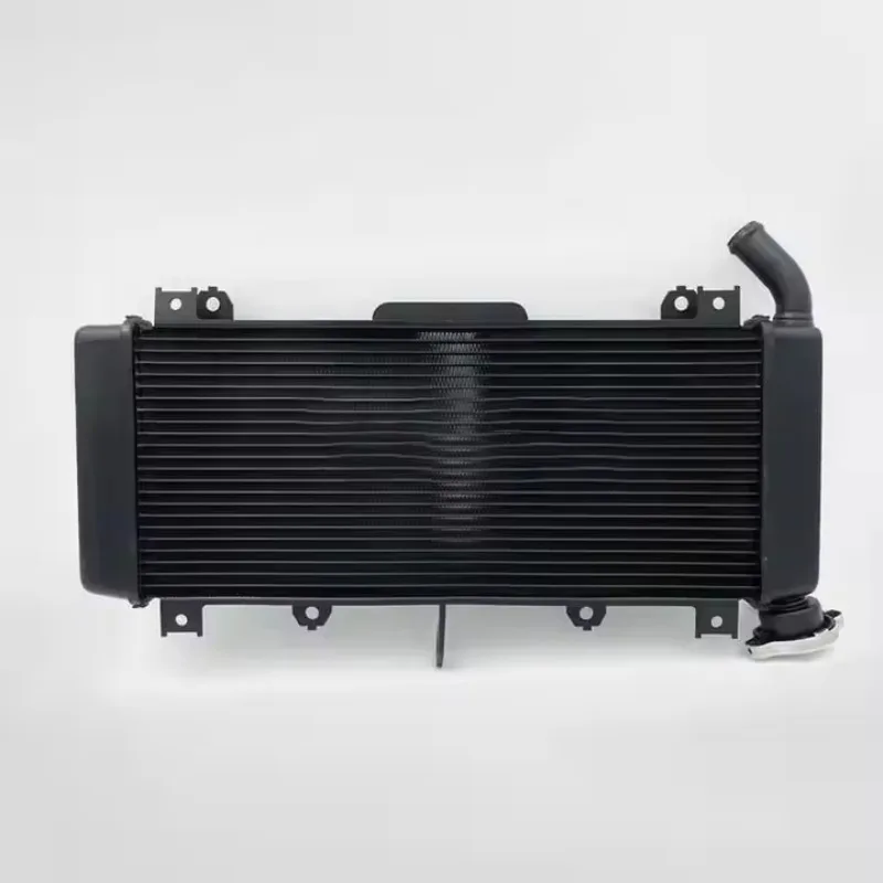 Factory High Quality Motorcycle Parts Fe350 Radiator Aluminium Radiator Guards