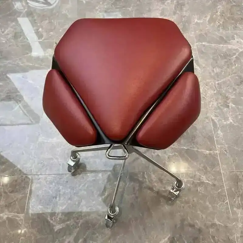 Sillas con Ruedas para Salón de Belleza, Camillas, Sillas Auxiliares, Sillas Herman Miller para Negocios, Sillas para Estética, Mobiliario y Equipamiento para Salón