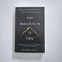 The Mountain Is You: Transforming Self-Sabotage Into Self-mastery English Books