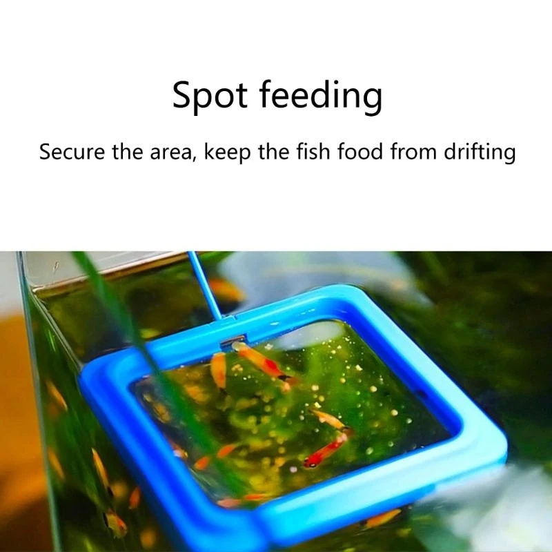 F92B 2pack Рыбанки