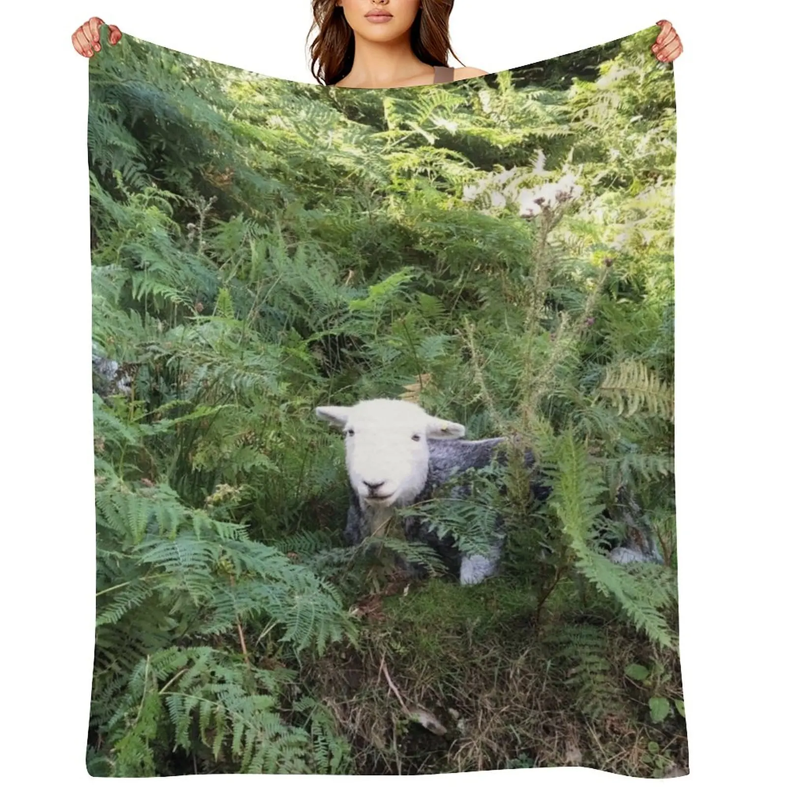 

Herdy sheep in the ferns in the lake district Throw Blanket warm winter Decorative Sofa Summer heavy to sleep Blankets