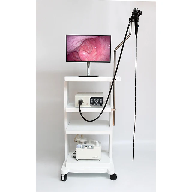 Pet Hospital Clinic Veterinary Endoscopy Tower Flexible Electronic Gastrointestinal Endoscope Veterinary