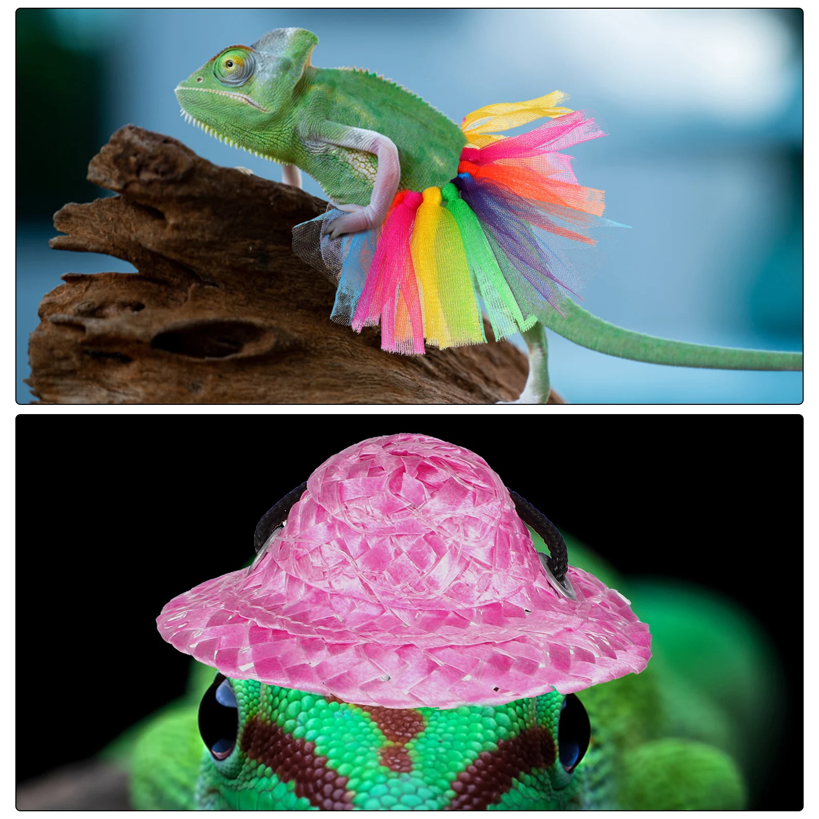 

Pet Hat Skirt Suit Bearded Dragon Lizard Costume Cosplay Reptile Props Birthday for